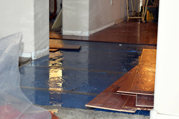 Professional Water Damage technician working in Hampton, NJ